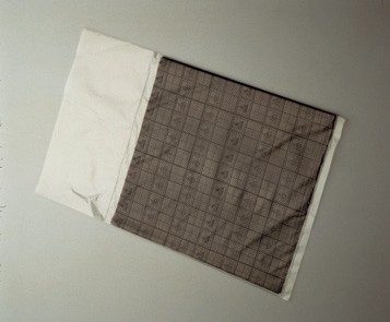 Transparent Conductive Grid Bag